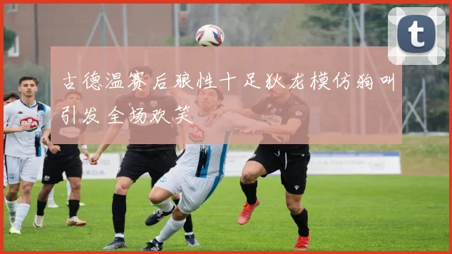 古德温赛后狼性十足狄龙模仿狗叫引发全场欢笑