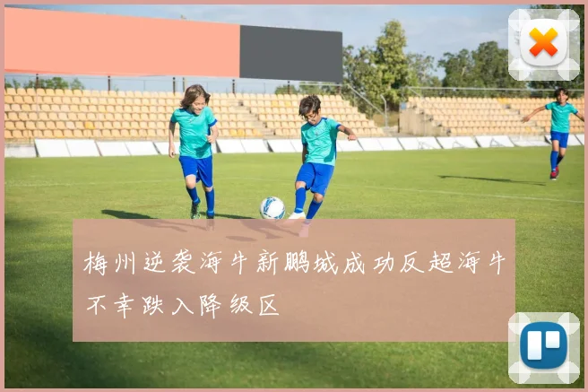 梅州逆袭海牛新鹏城成功反超海牛不幸跌入降级区