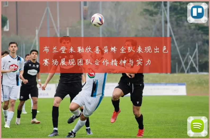 布兰登米勒欣喜黄蜂全队表现出色赛场展现团队合作精神与实力