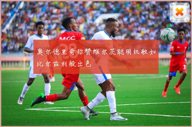 奥尔德里奇称赞维尔茨聪明机敏如比尔兹利般出色